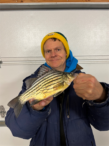 DAVID FROSTESTAD's Yellow Bass 10.5inch