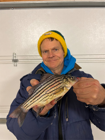 DAVID FROSTESTAD's Yellow Bass 10.25inch