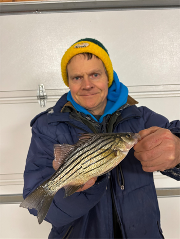 DAVID FROSTESTAD's Yellow Bass 10.13inch