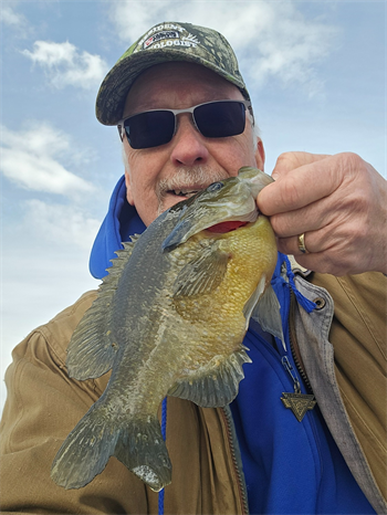 Douglas Farrell's Green Sunfish 10inch, 02-14-26