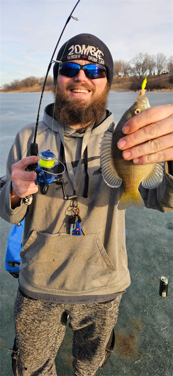 Dr's Bluegill