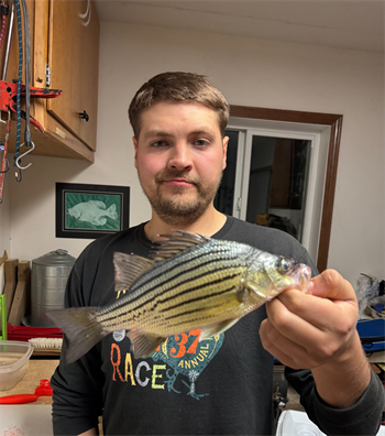 Benjamin Frostestad's Yellow Bass 10inch