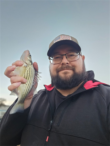 Aaron Theisen's Yellow Bass 10inch, 03-08-26