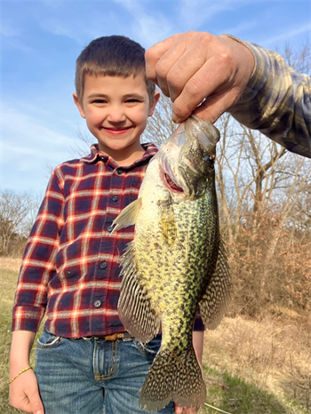 Henry's Black Crappie