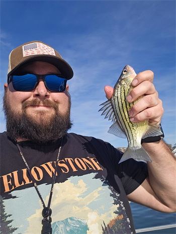 Aaron Theisen's Yellow Bass 10inch