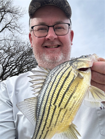 TODD BOERNER's Yellow Bass 10.25inch