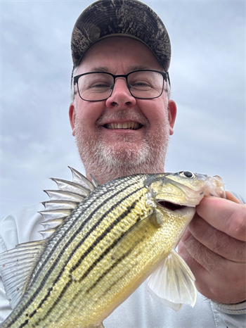 TODD BOERNER's Yellow Bass 10inch