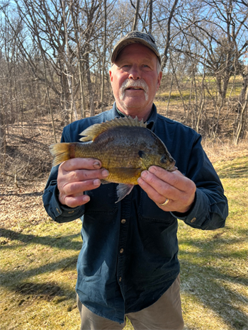 JEFF HANSON's Bluegill 10inch, 04-10-26