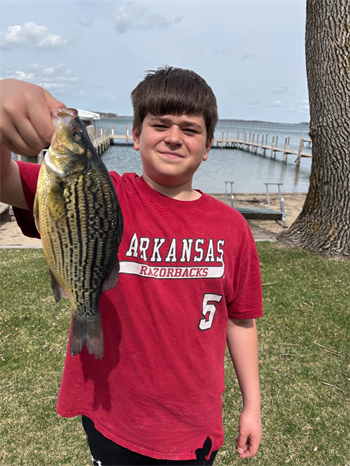 Anthony Murphy's Yellow Bass 12inch