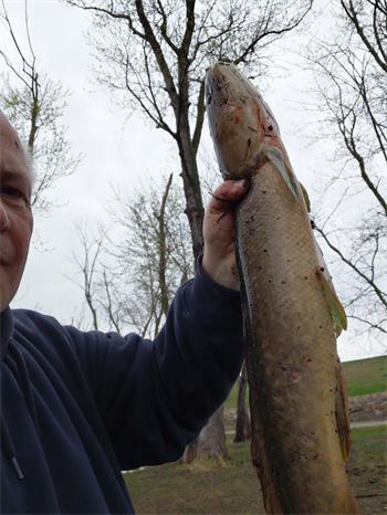 CLAY GRONEN's Bowfin 26.25inch, 04-15-26