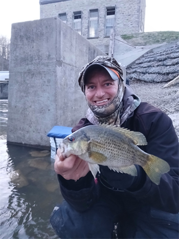 CHRISTOPHER PLACEK's Rock Bass 8.25inch, 04-18-26