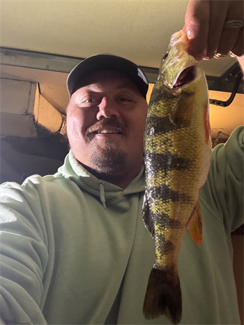 TYLER LESTER's Yellow Perch 12.25inch, 04-19-26