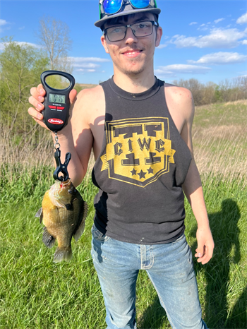 Thomas Armstrong's Bluegill 10inch