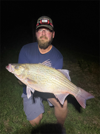 Timothy Lenox's Wiper (Hybrid Striped Bass) 25inch, 04-21-26