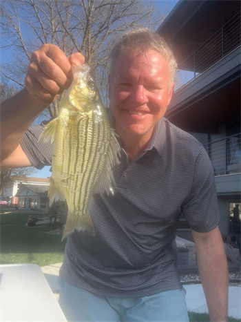 TONY THELEN's Yellow Bass 12.5inch