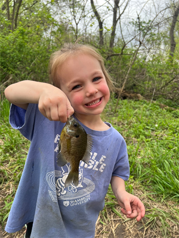 Joanna's Bluegill