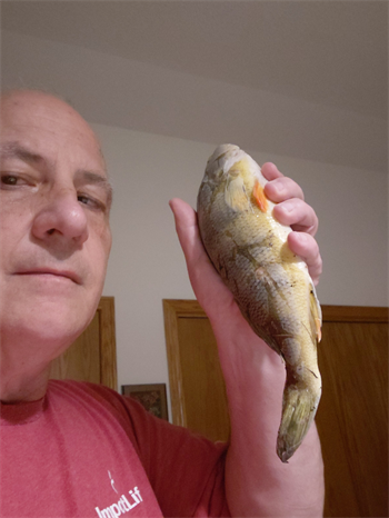 CLAY GRONEN's Yellow Perch 12.25inch, 04-17-26