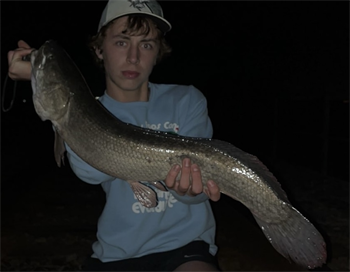Walker Riggan's Bowfin 30inch, 04-24-26