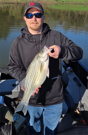 Scott Heckart's Wiper (Hybrid Striped Bass) 24inch, 04-16-26