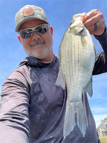 JOHN HIERSEMAN's White Bass 17inch, 04-25-26