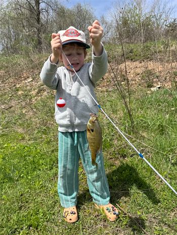 Ozzy's Bluegill