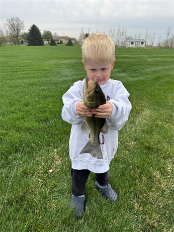 Owen's Largemouth Bass