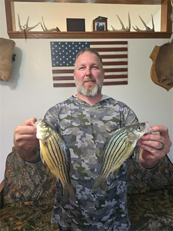 JARED LENZ's Yellow Bass 11inch, 04-25-26