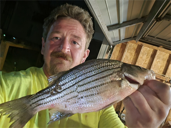 Kasey Morrison's Yellow Bass 11inch, 04-25-26