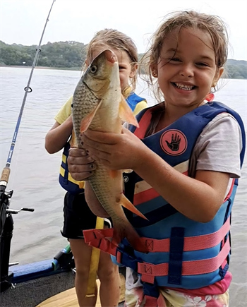 EVELYNN's Common Carp