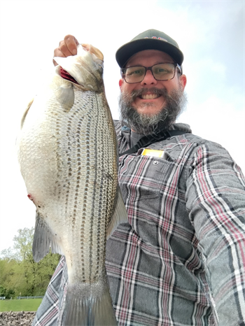 TRAVIS CASE's Wiper (Hybrid Striped Bass) 25inch, 04-27-26