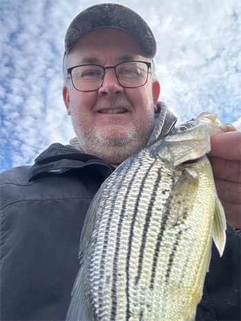 TODD BOERNER's Yellow Bass 10.75inch, 04-30-26