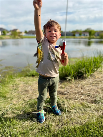 William's Bluegill