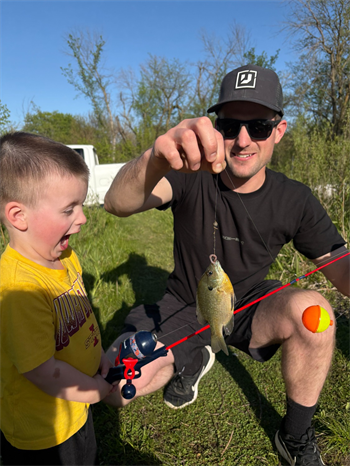 Hank's Bluegill