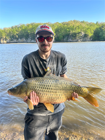 BRENDEN ZIEGENHORN's Common Carp 33inch, 05-03-26