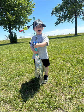 Colt's White Crappie