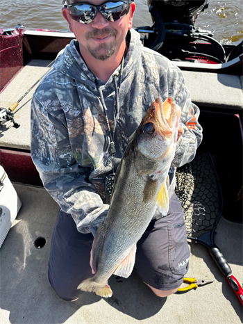 JUSTIN WILLETT's Walleye 28inch, 05-15-26