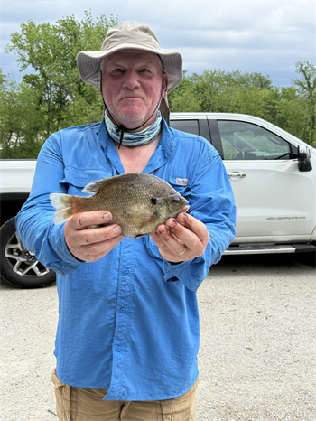 JOEL JACOBS's Bluegill 10inch, 05-16-26