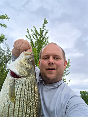 NICOLAS GRAY's Wiper (Hybrid Striped Bass) 25.5inch, 05-16-26