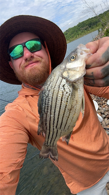 Michael Rademacher's Yellow Bass 10.5inch, 05-21-26