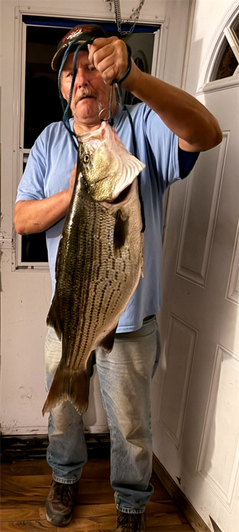 RANDALL COWDEN's Wiper (Hybrid Striped Bass) 27inch, 05-21-26