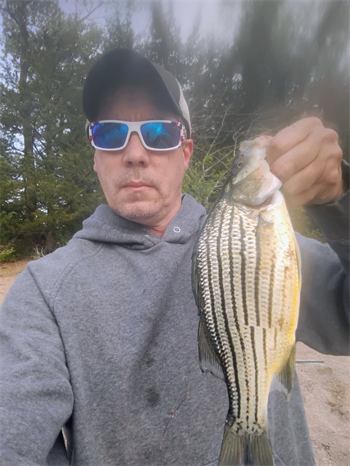 LOREN LEOPARD's Yellow Bass 12.75inch, 05-21-26