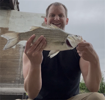 PHILIP WORKMAN's White Bass 17inch, 05-22-26