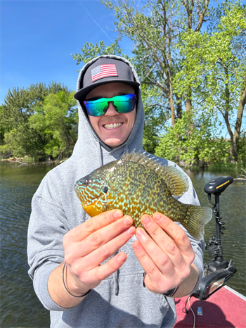 Nick Niffen's Pumpkinseed 9inch, 05-23-26