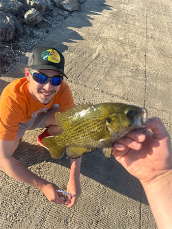 Ryan Williams's Rock Bass 9.75inch