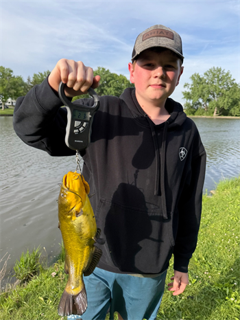 Jobe Christopher's Yellow Bullhead 16inch, 05-24-26