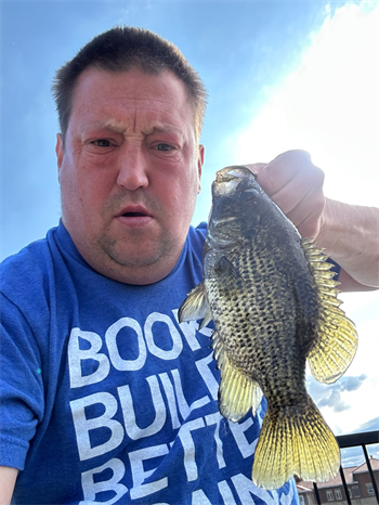 MICHEAL LIDDLE's Rock Bass 9inch