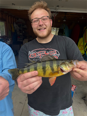 WILLIAM KLINGEMANN's Yellow Perch 12inch, 05-23-26
