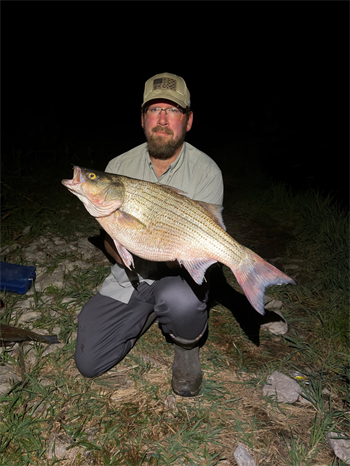 Timothy Lenox's Wiper (Hybrid Striped Bass) 28inch, 05-28-26
