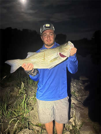 KODY LOWDER's Wiper (Hybrid Striped Bass) 24.75inch, 05-30-26