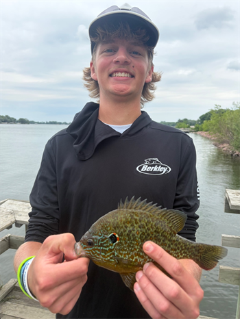 KADON STEIN's Pumpkinseed 9inch, 05-30-26